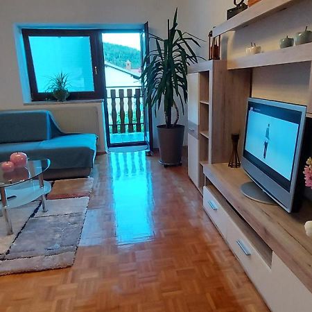 Apartma Pr' Ivani Miskorinovi Breginj Εξωτερικό φωτογραφία