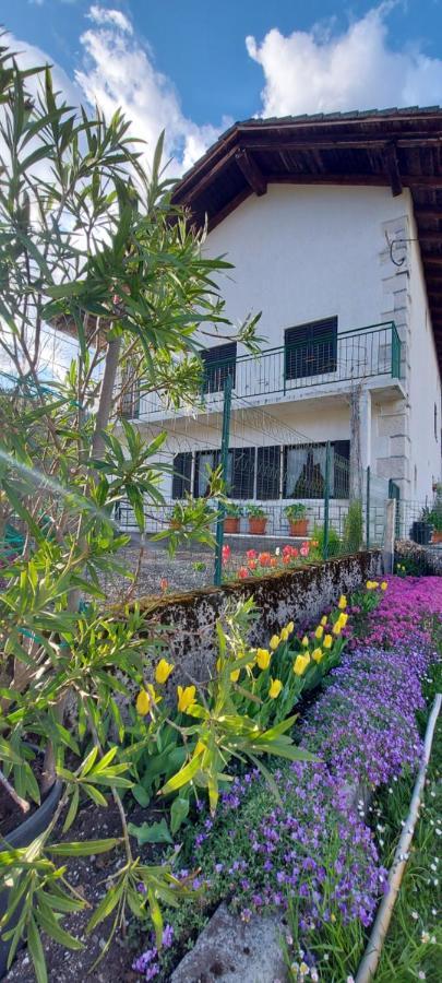 Apartma Pr' Ivani Miskorinovi Breginj Εξωτερικό φωτογραφία