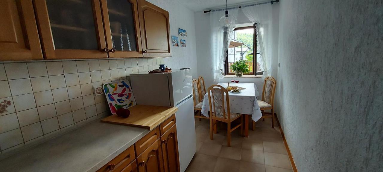 Apartma Pr' Ivani Miskorinovi Breginj Εξωτερικό φωτογραφία