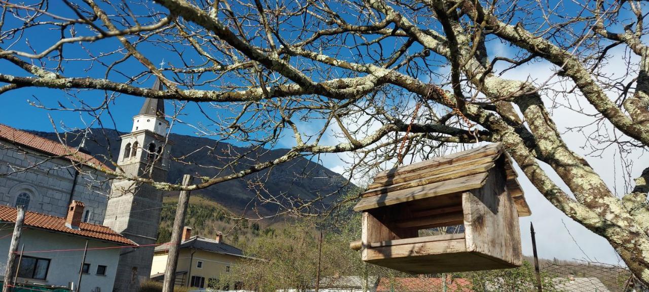Apartma Pr' Ivani Miskorinovi Breginj Εξωτερικό φωτογραφία