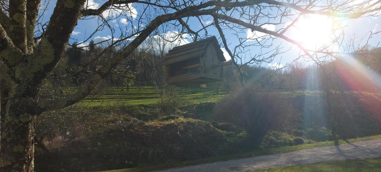 Apartma Pr' Ivani Miskorinovi Breginj Εξωτερικό φωτογραφία