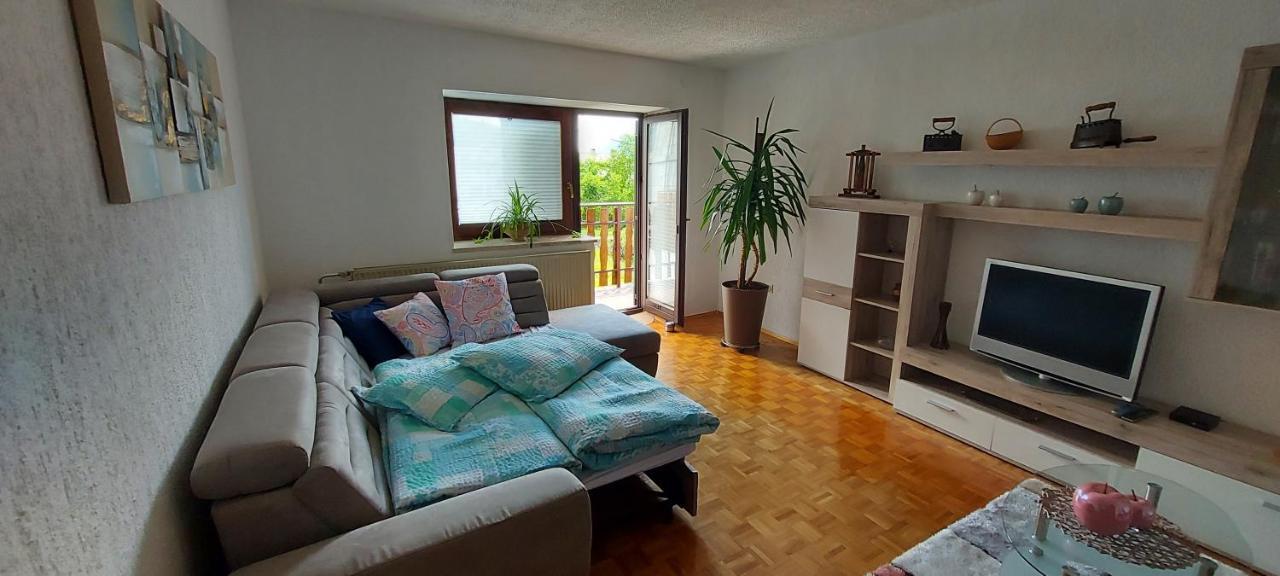Apartma Pr' Ivani Miskorinovi Breginj Εξωτερικό φωτογραφία