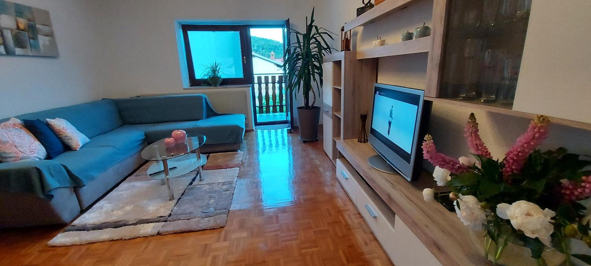 Apartma Pr' Ivani Miskorinovi Breginj Εξωτερικό φωτογραφία